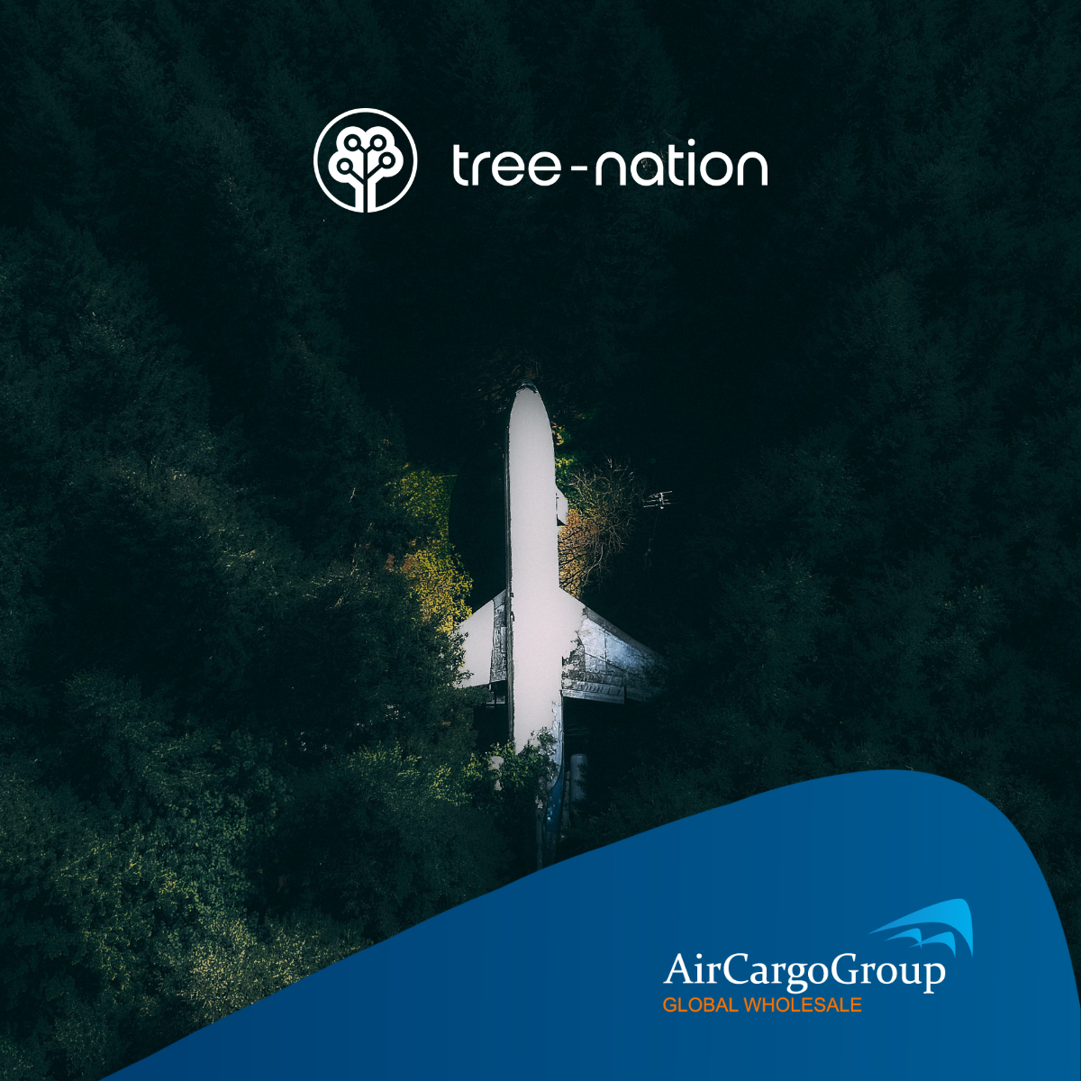 An aerial photograph of an airplane resting in a dense forest, with the Tree-Nation logo at the top and the AirCargoGroup GLOBAL WHOLESALE logo on a blue shape at the bottom right.
